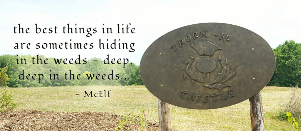 McElfism - the best things in life are sometimes hiding in the weeds - deep, deep in the weeds...